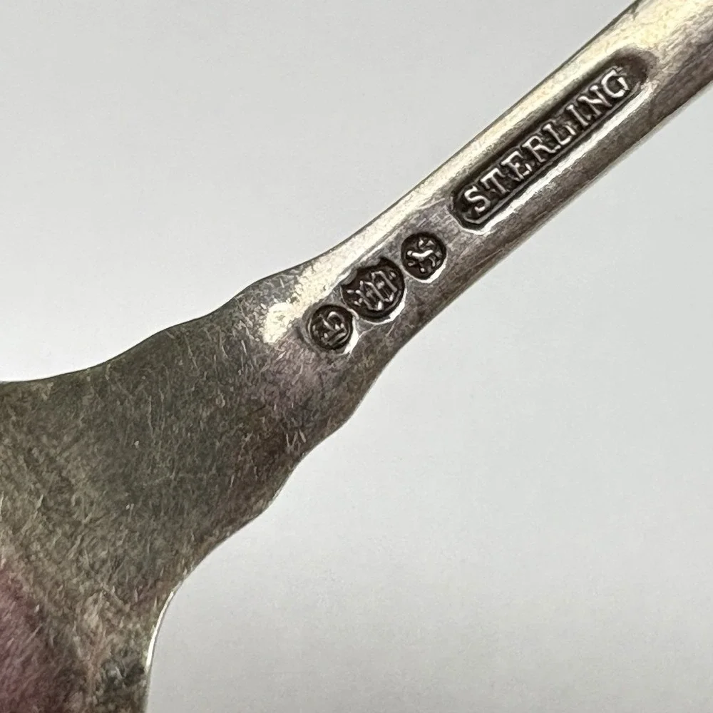 Whiting Daisy Sterling Silver Grapefruit Fruit‎ Spoon Antique 1880s Floral Art